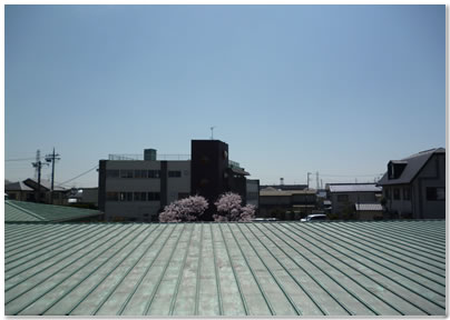 タワー方向は開けている。