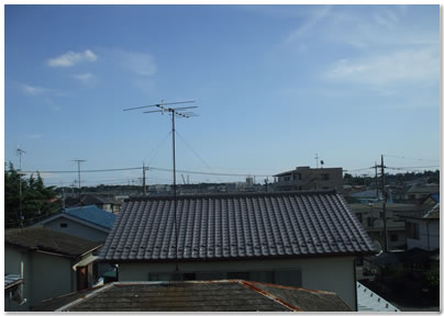 タワー方向、やや低地