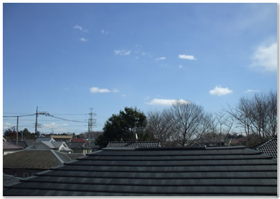 東京タワー方向 木があります 住宅が木の向こう側に立つ予定だとか