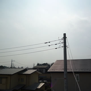 電波塔方向(スカイツリー)