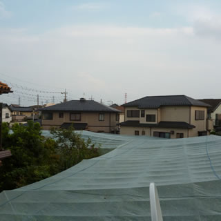 タワー方向は畑